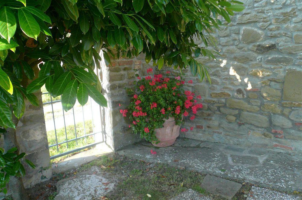 Appartement Il Gelso à Cortone Extérieur photo