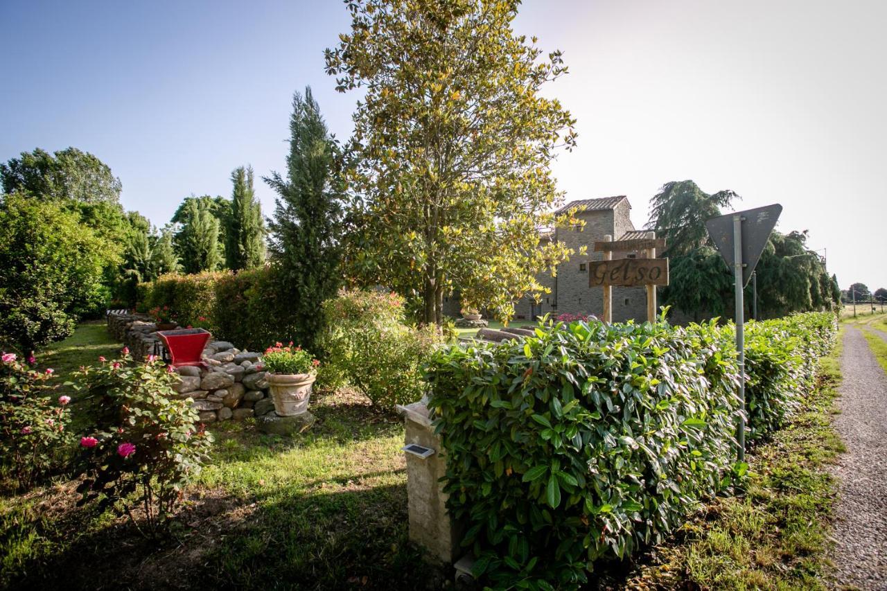 Appartement Il Gelso à Cortone Extérieur photo